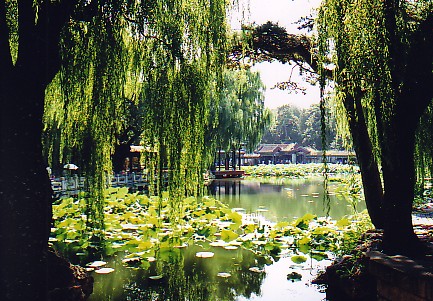 [LuckyBird20060101Beijing]